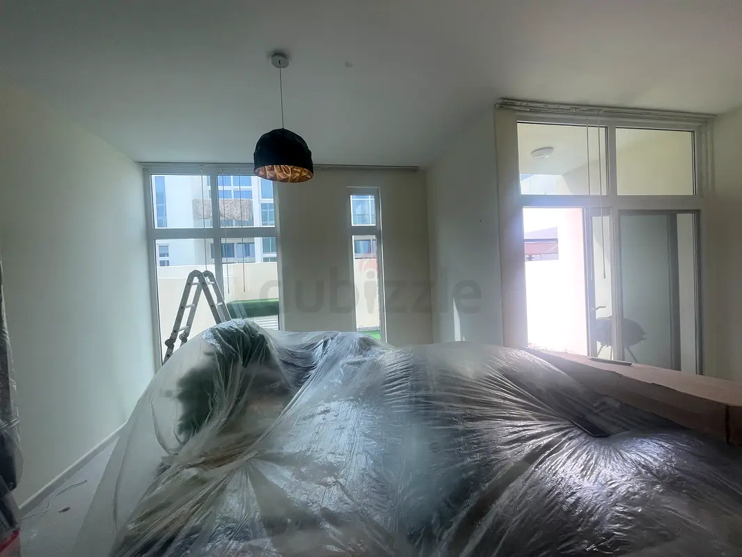 DPV_View_Image_8