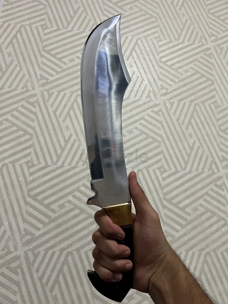 Sharp knife63246237162498112