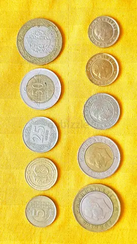 Turkey coins (Gift Set)