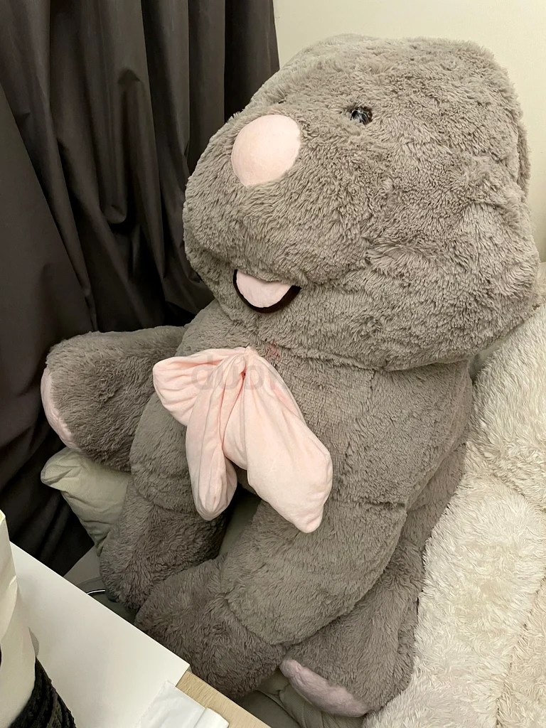 Plush Rabbit632053620856331125