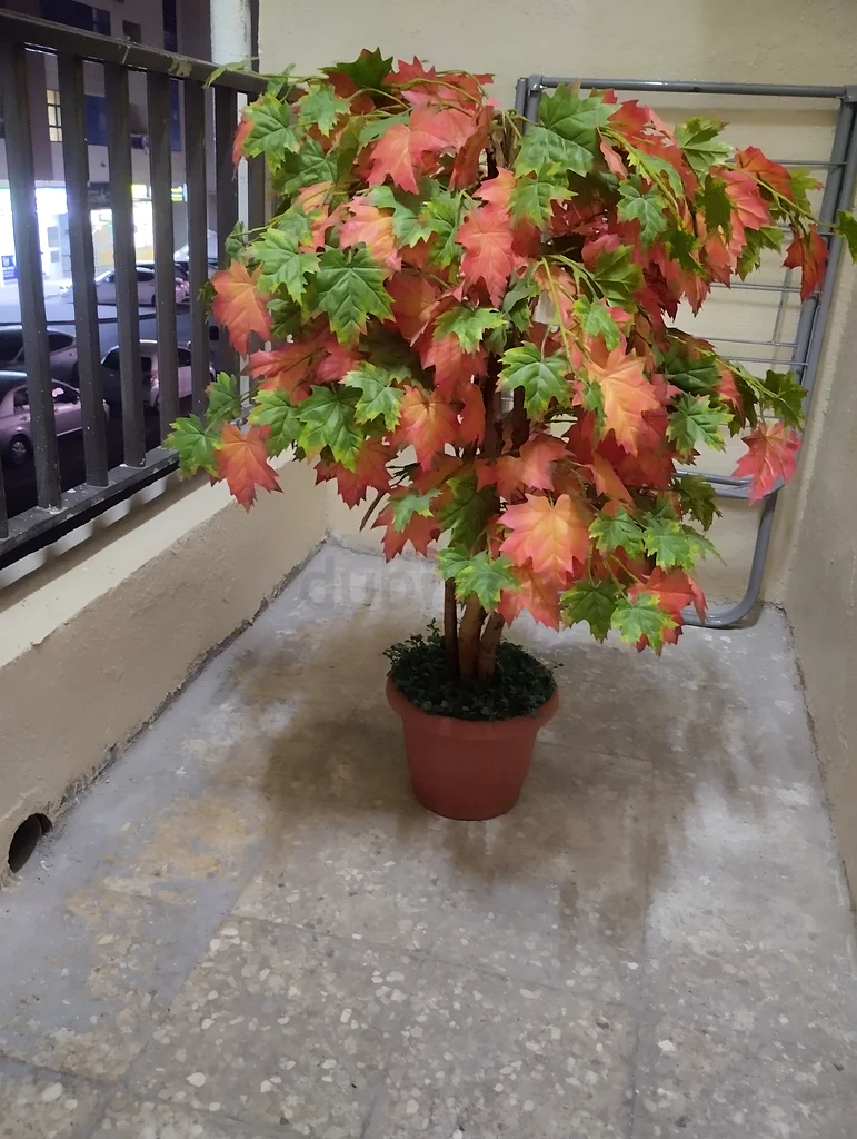 Artificial plant for AED 50632114230574111114
