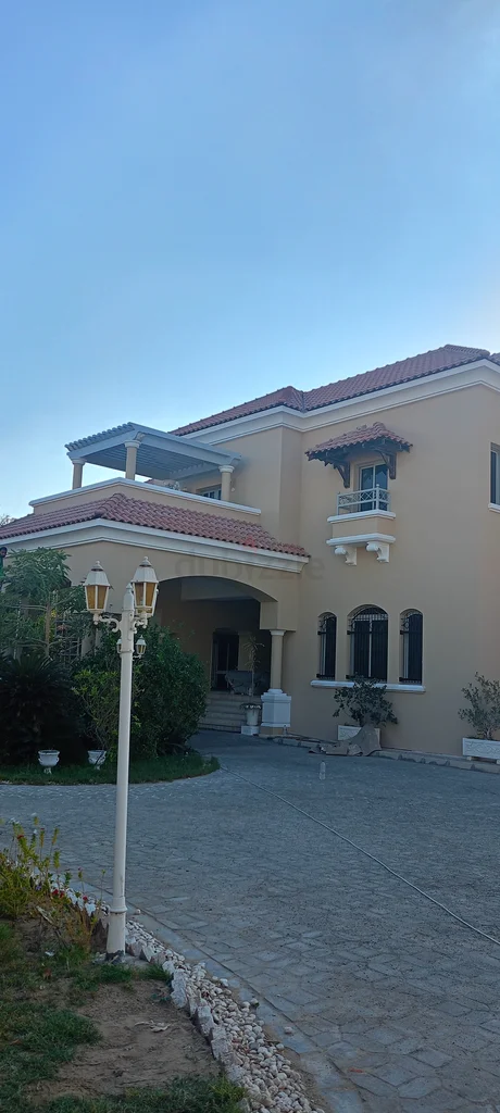 Painting services62931689184385111