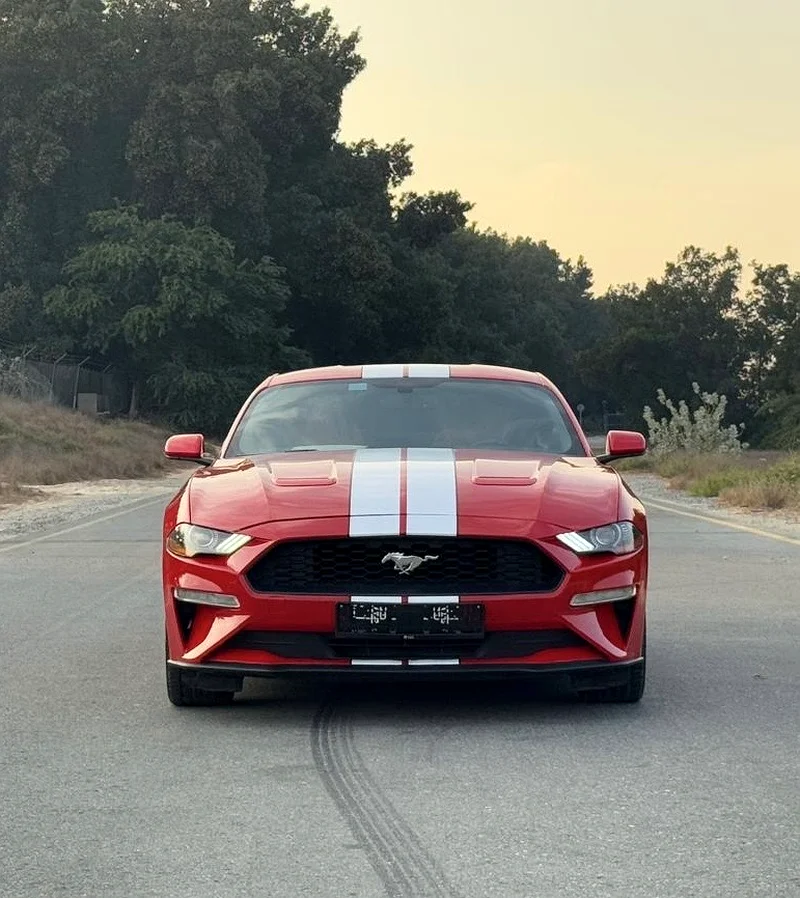 FORD MUSTANG EcoBoost V.4 Turbo 201963150948279938113