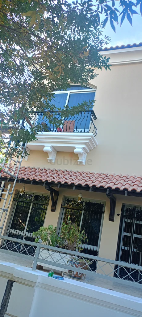 Painting services62931689184385112