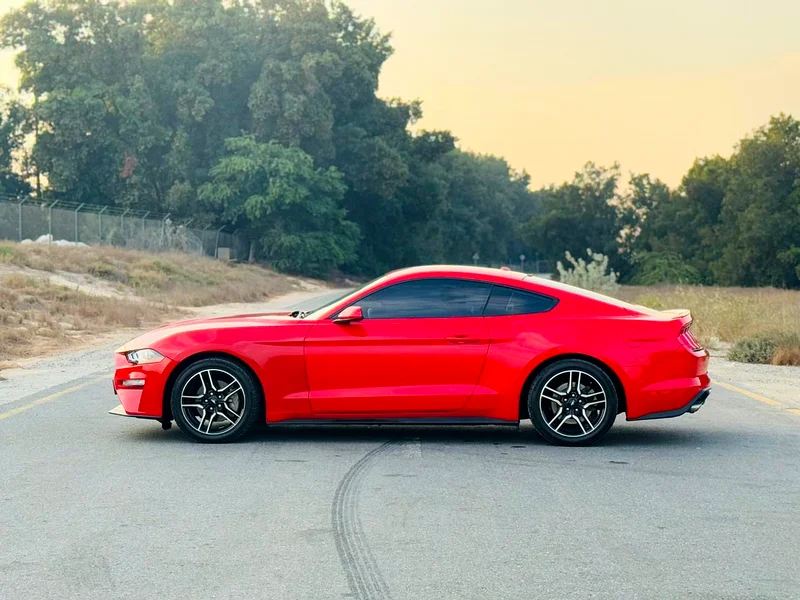 FORD MUSTANG EcoBoost V.4 Turbo 201963150948279938111