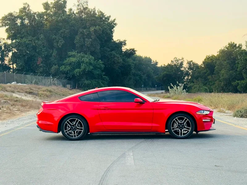 FORD MUSTANG EcoBoost V.4 Turbo 201963150948279938112