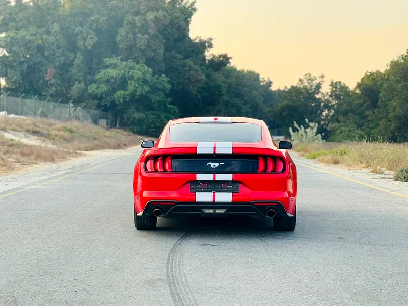 FORD MUSTANG EcoBoost V.4 Turbo 201963150948279938114