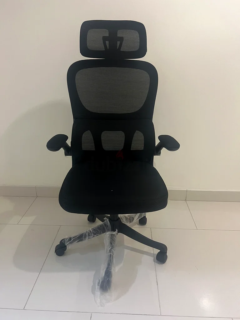 Office Mesh chair with lumber support632173259872011127