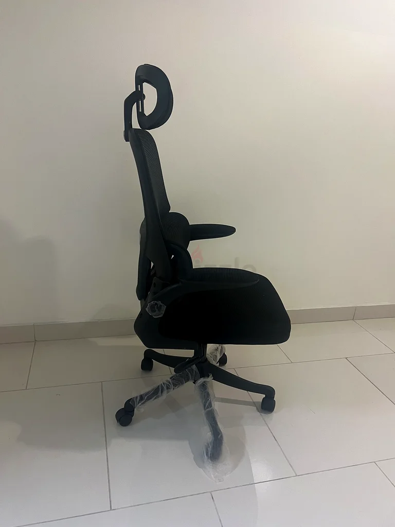Office Mesh chair with lumber support63217325987201111