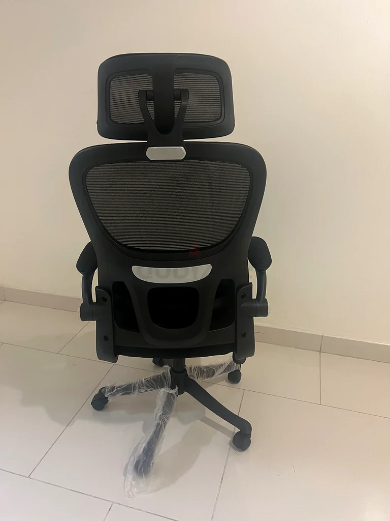 Office Mesh chair with lumber support63217325987201113