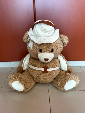 Teddy bear