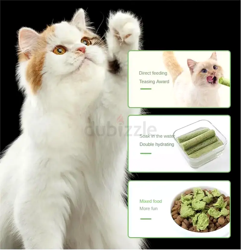 Cat Grass Teething Sticks
