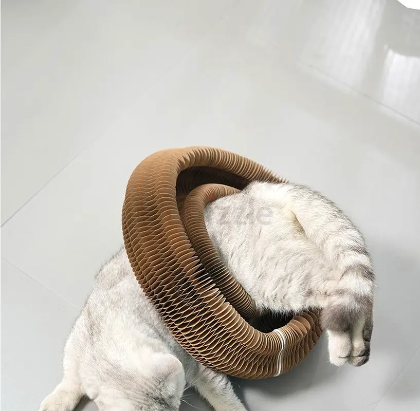 Cat Ball Toy