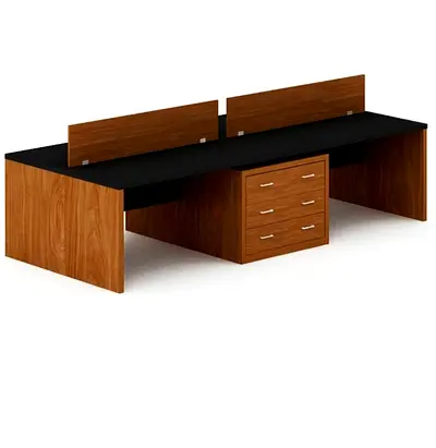 Luxury Workstation Custom Made