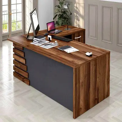 Luxury Office