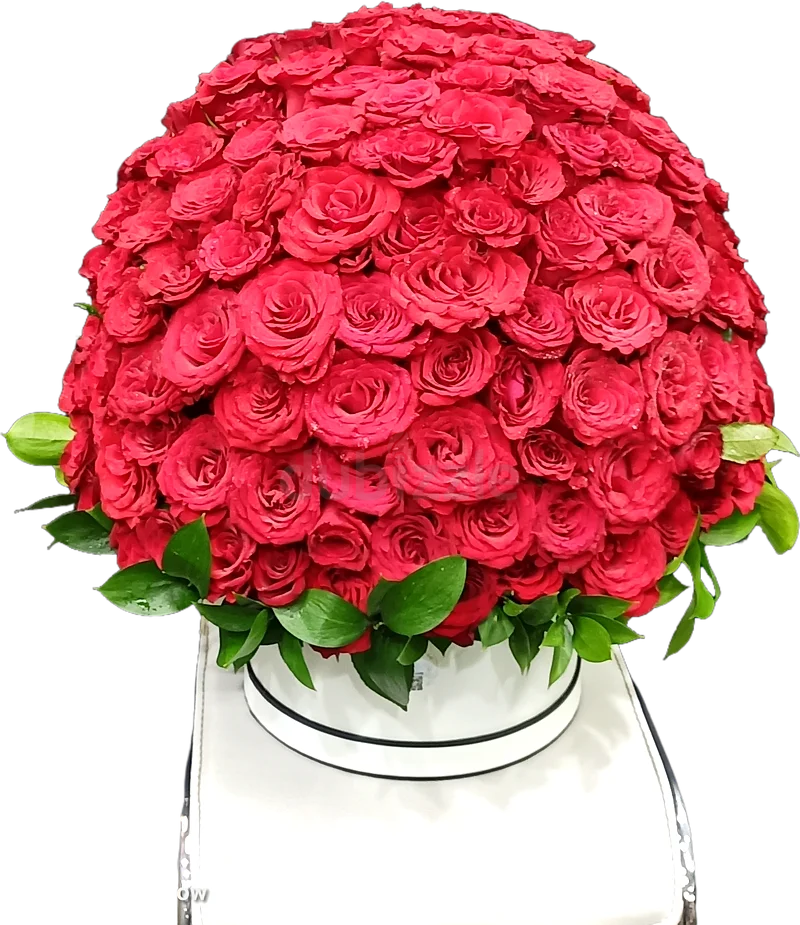 Gift bouquet flowers63264584142467112