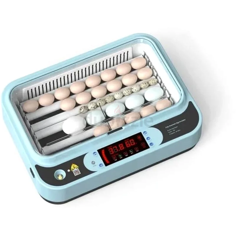An egg incubator with a capacity of 24-36632629395246091112