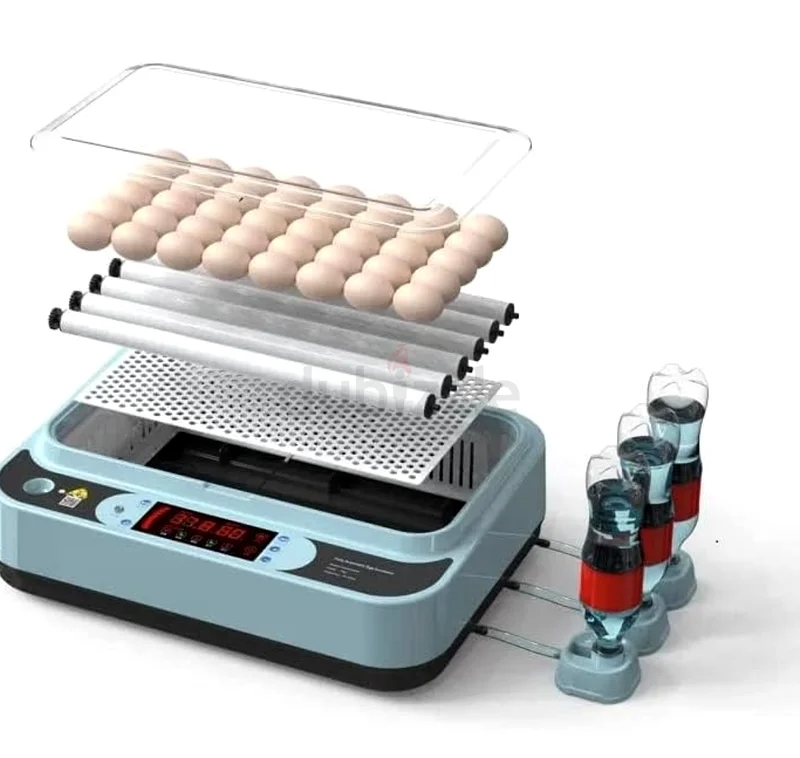 An egg incubator with a capacity of 24-3663262939524609111