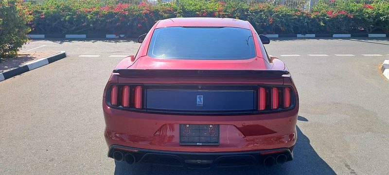 SHELBY GT350 2017 GCC  FULL SERVICE + WARRANTY AL TAYER +ORGINAL PAINT 100%63167557704834113