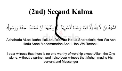 Best opportunity to learn Quran with full experienced female Qaria enroll today to get 3 days free .