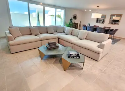Home center swin feather filled sofa High End Quality