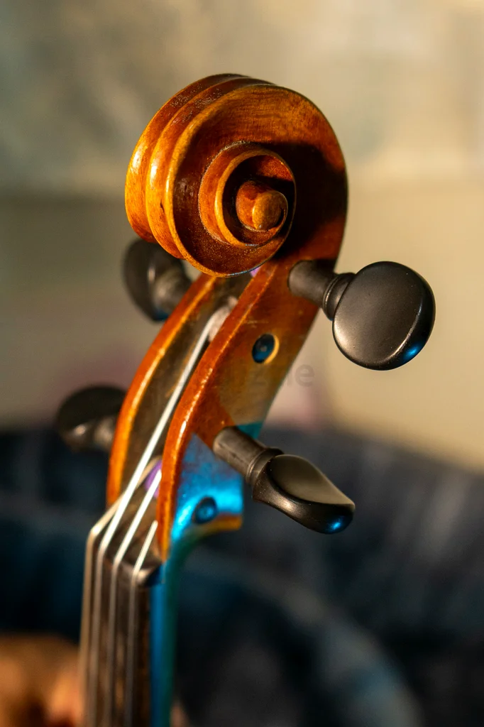 Italian Violin63202193230851113
