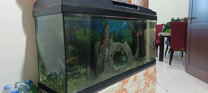 Fish tank with all accessories. Filter, oxygen, pebbles, heater for sale63174798050051111