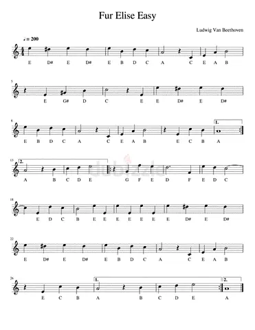 Piano keyboard drums octopad and singing (vocal) classes