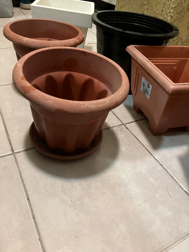 أواني63190627124611114