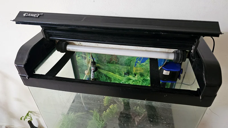 Aquarium in Good condition 600 x600 for sale along with all accessories63174798179715112