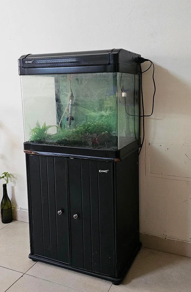 Aquarium in Good condition 600 x600 for sale along with all accessories63174798179715111