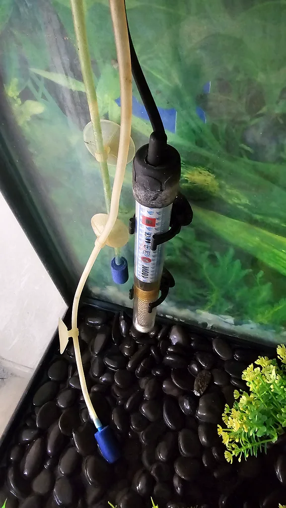 Aquarium in Good condition 600 x600 for sale along with all accessories63174798179715113