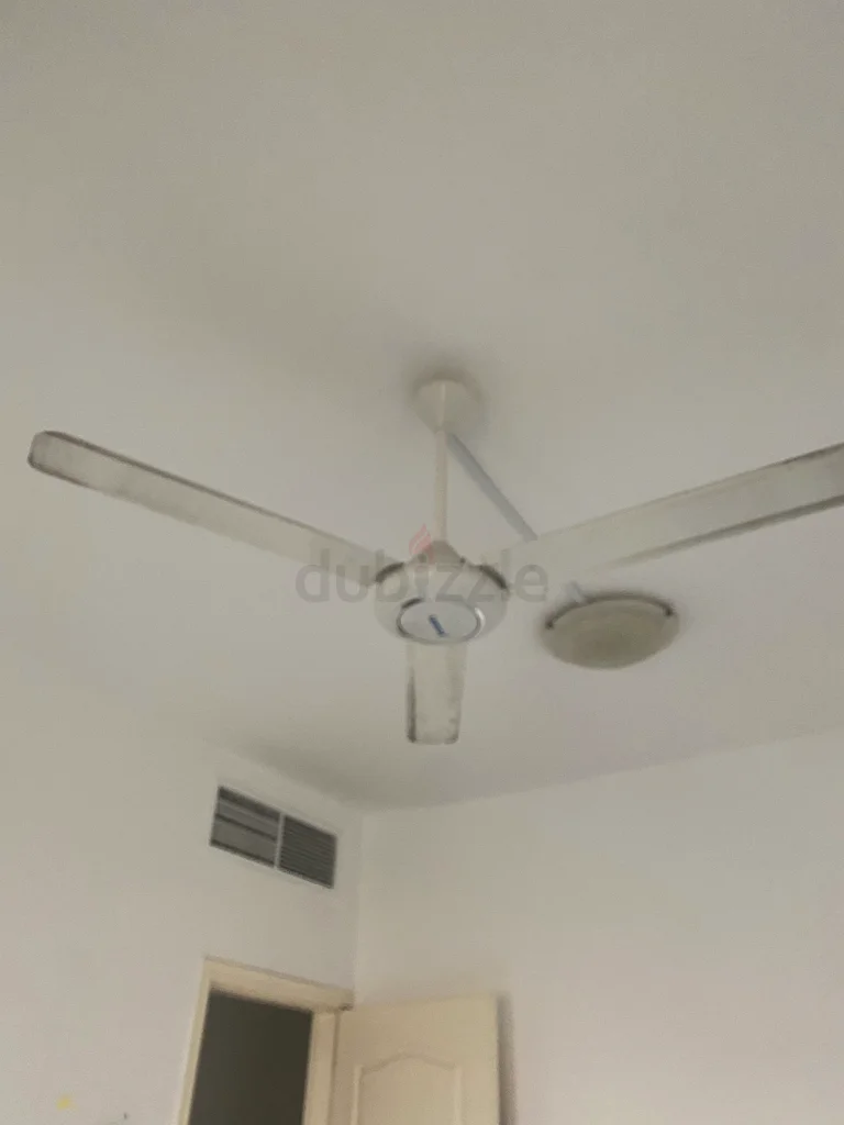 المعجبون63178435686659112
