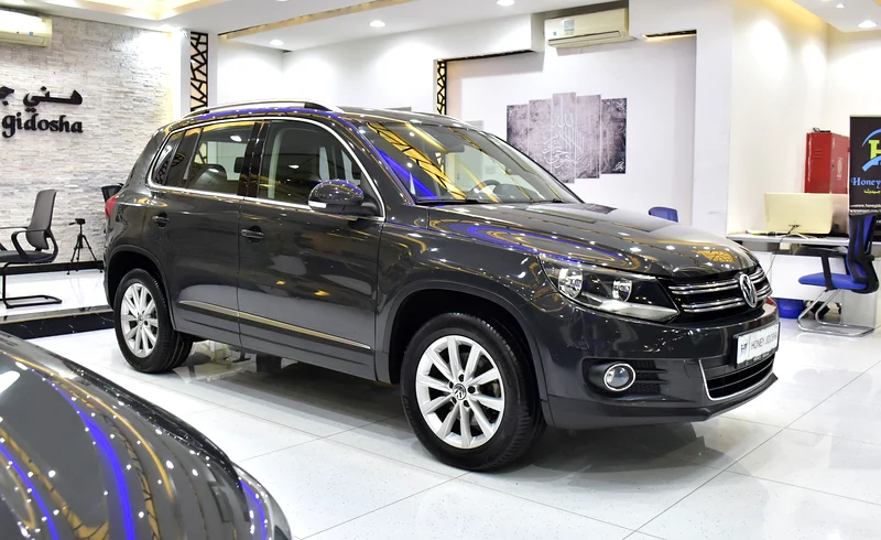 ORIGINAL PAINT ( صبغ وكاله ) Volkswagen Tiguan 1.4L ( 2016 Model ) in Grey Color GCC Specs63170386931459112