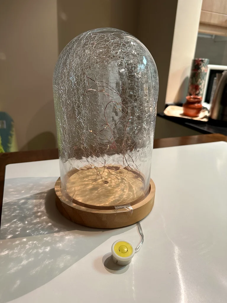 Glass Dome Bell Jar Cloche Display Wooden base63177132344066111