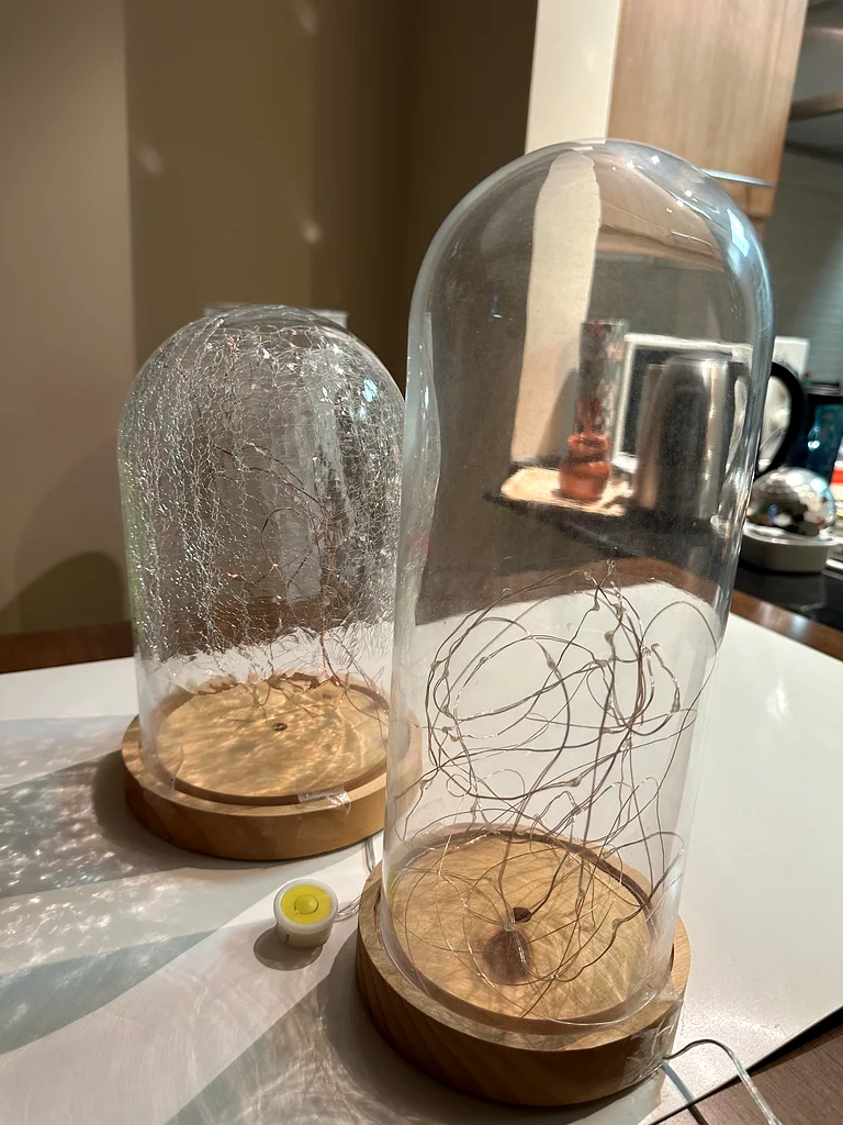 Glass Dome Bell Jar Cloche Display Wooden base63177132344066112