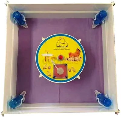 Baby indoor chicken brooder