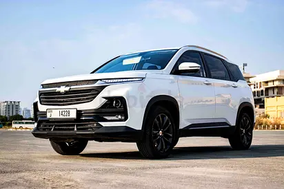 Summer offer / no deposit-Tabby TAMARA Accepted