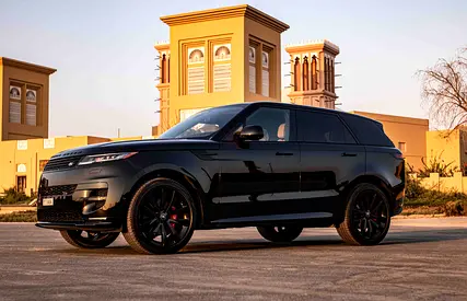 Tabby TAMARA Accepted-Free Delivery