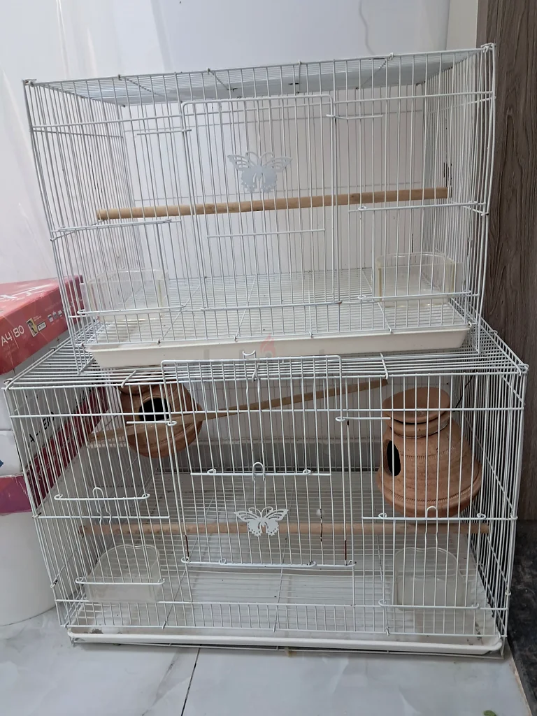 (بيع طارئ) طقم قفص تربية مثالي - جاهز للعمل!632326502702111114