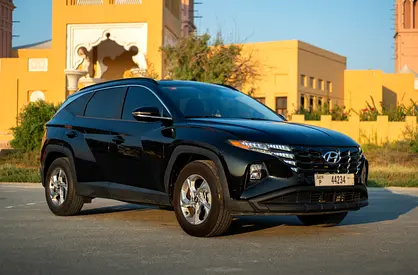 no deposit / free delivery-Tabby TAMARA Accepted