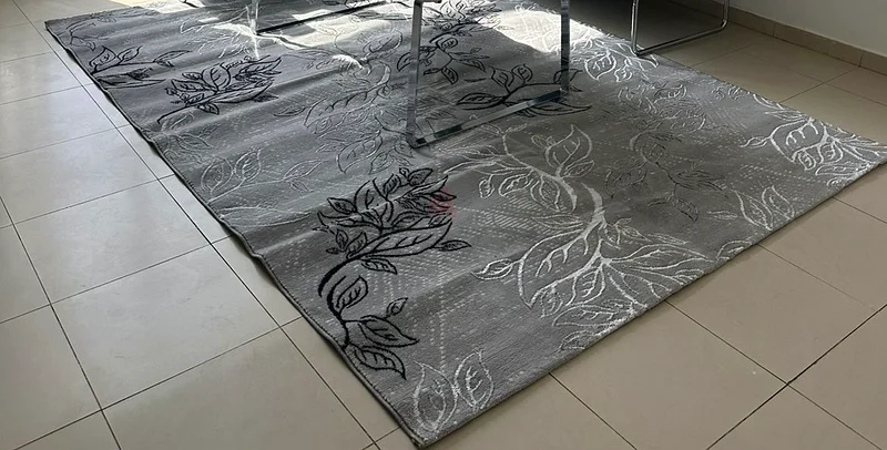 Living room Carpet632108829514251127