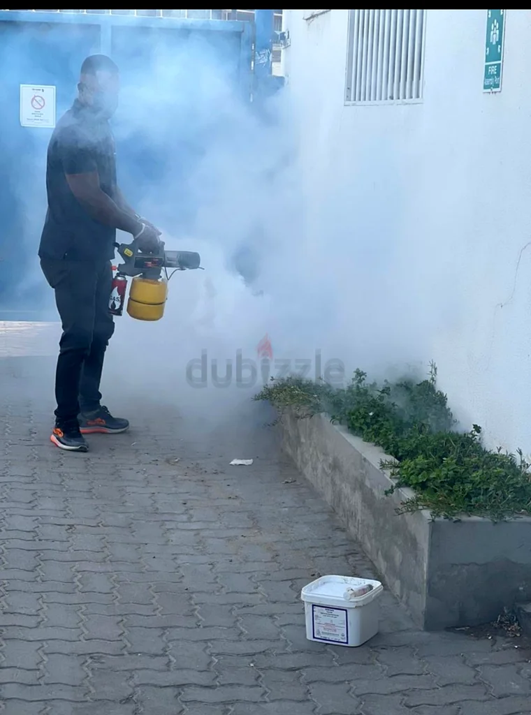 Pest control starting from 10063220838485635111