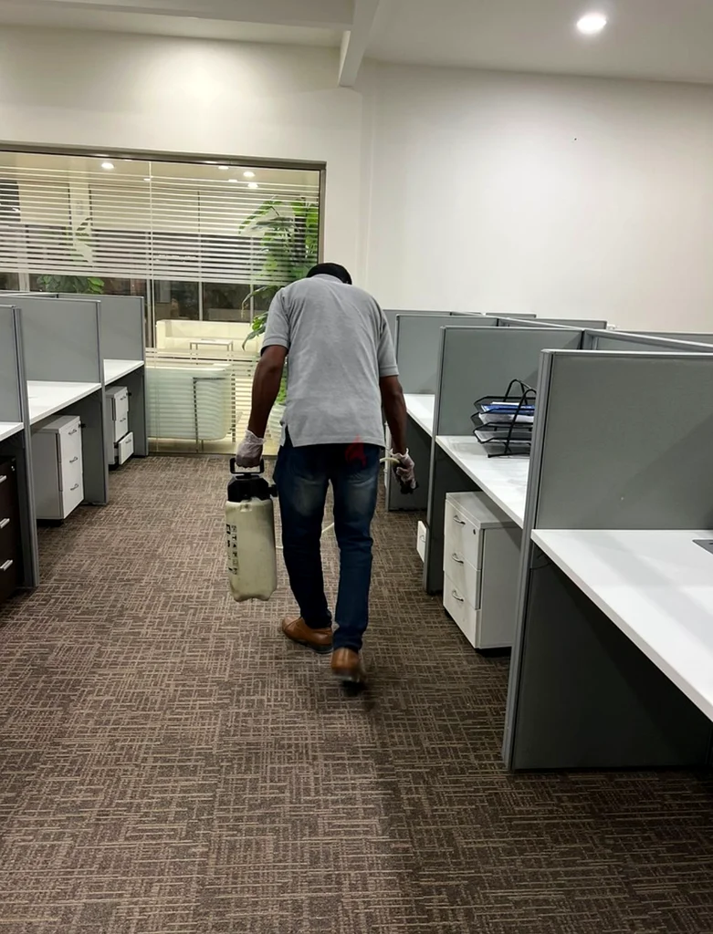 Pest control starting from 10063220838485635113