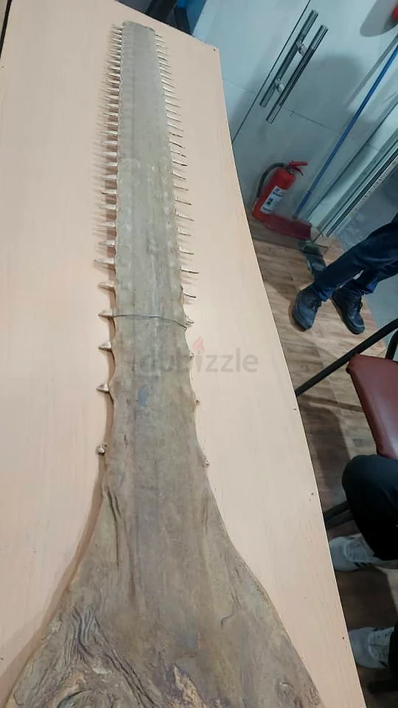 Abu Dhabi63177131807363113