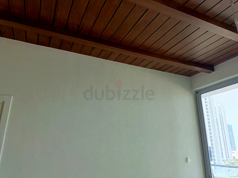Professional painter in Abu dhabi63216842259329113