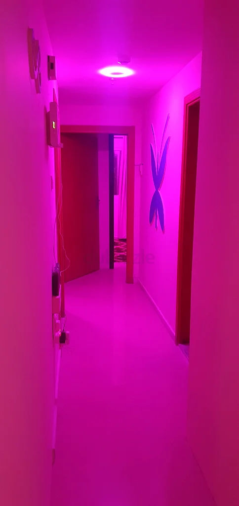 Very good-sized private partition with direct access to a balcony for executives.63315135481346113