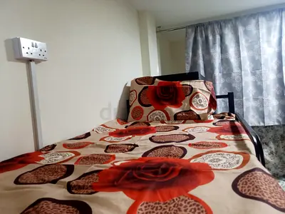 Ladies and Gents bedspace available next to salah al din metro