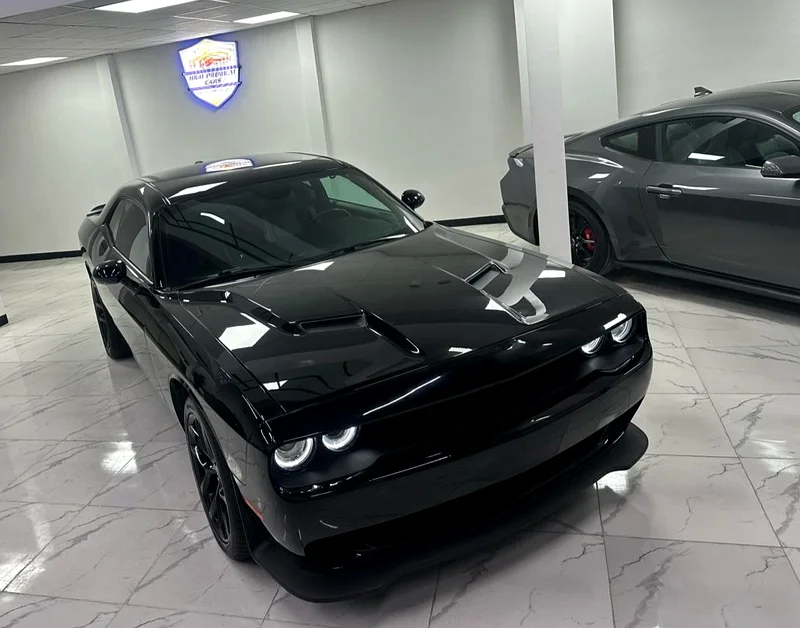Dodge Challenger Sxt 201963224788006018114