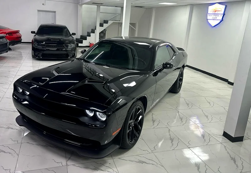 Dodge Challenger Sxt 201963224788006018111